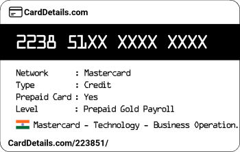 Card Details: 223851