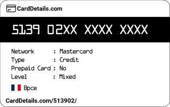 Card Details: 513902