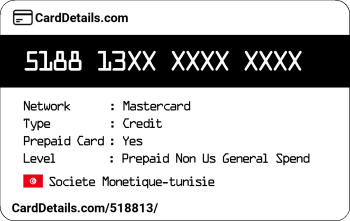 Card Details: 518813