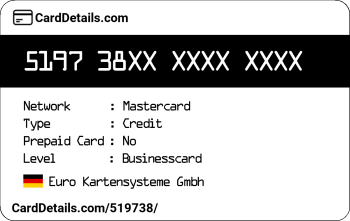 Card Details: 519738