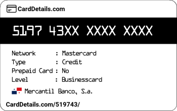 Card Details: 519743