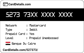 Card Details: 527373