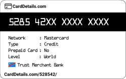 Card Details: 528542