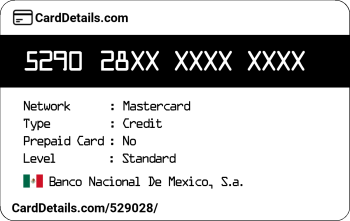 Card Details: 529028