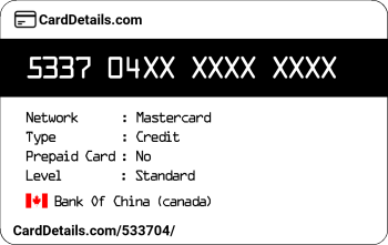 Card Details: 533704
