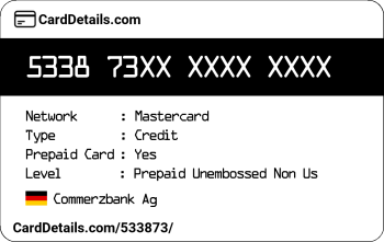 Card Details: 533873