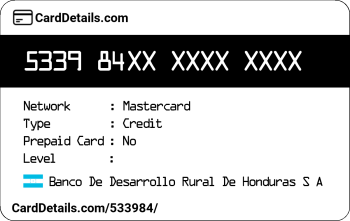 Card Details: 533984
