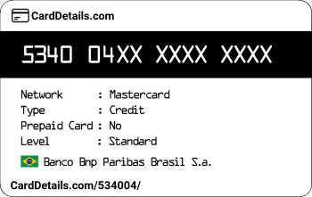 Card Details: 534004