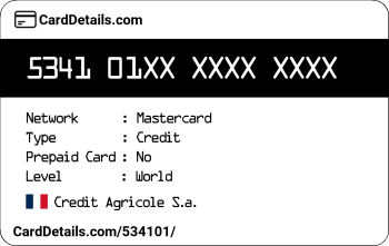 Card Details: 534101