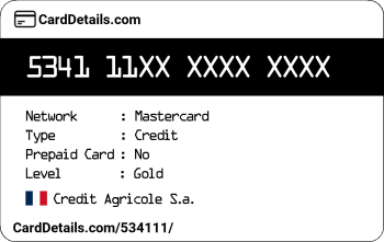 Card Details: 534111