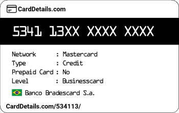 Card Details: 534113