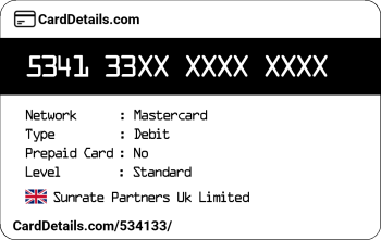 Card Details: 534133