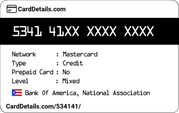 Card Details: 534141