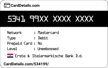 Card Details: 534199