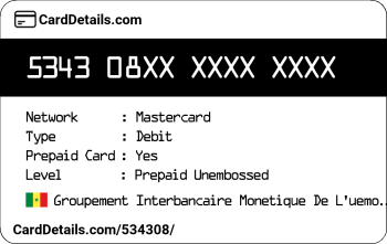 Card Details: 534308