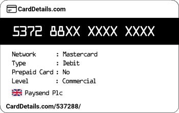 Card Details: 537288