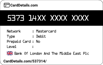 Card Details: 537314
