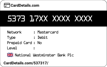 Card Details: 537317