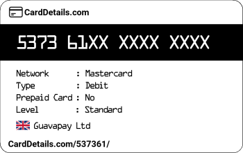 Card Details: 537361