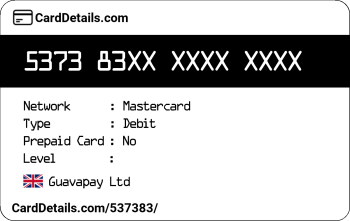 Card Details: 537383