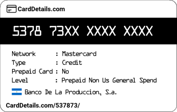 Card Details: 537873