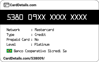 Card Details: 538009