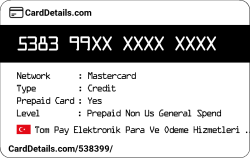 Card Details: 538399
