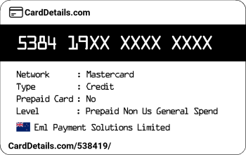 Card Details: 538419