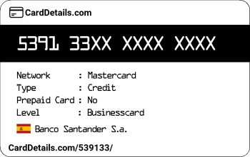 Card Details: 539133