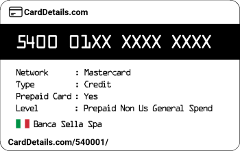 Card Details: 540001