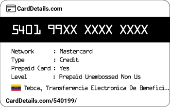 Card Details: 540199