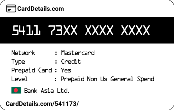 Card Details: 541173