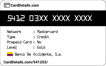 Card Details: 541203