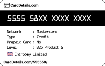 Card Details: 555558