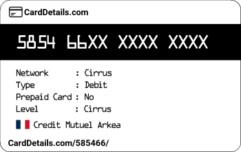 Card Details: 585466