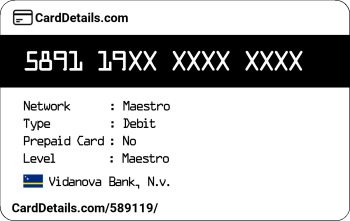 Card Details: 589119