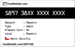 Card Details: 589738