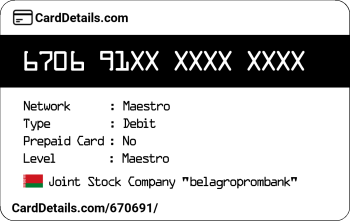 Card Details: 670691