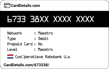 Card Details: 673338